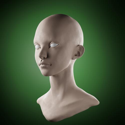 Head Sculpt - Female  preview image